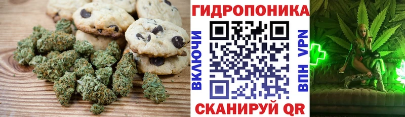 где купить наркоту  Верхоянск  Cannafood конопля 