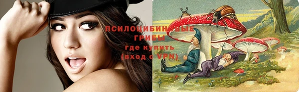 амф Бугульма
