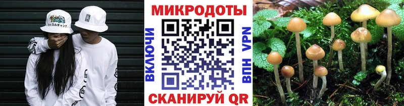 Галлюциногенные грибы Psilocybine cubensis  Верхоянск 